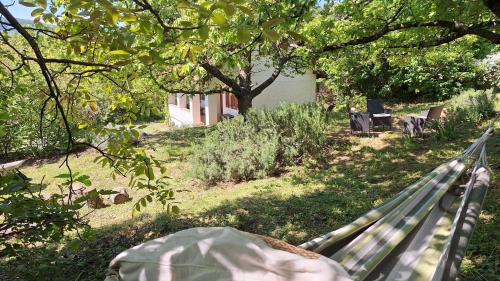 a hammock in a garden under a tree at Wild Grape - Vadszőlő in Badacsonytomaj