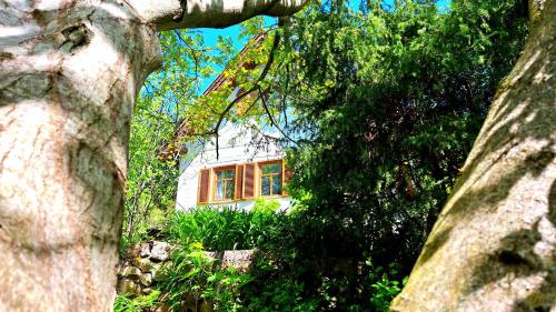 a house is seen through the trees in front at Wild Grape - Vadszőlő in Badacsonytomaj