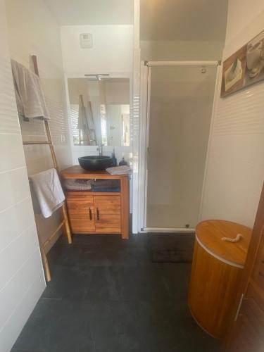 une salle de bain avec une douche, un lavabo et des toilettes dans l'établissement Appartement toit terrasse, piscine, plages à 10min et parking, à Fréjus