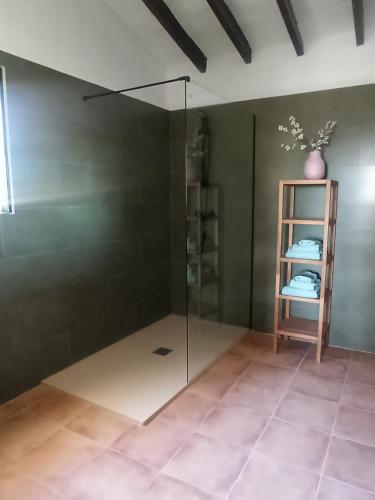 a bathroom with a glass shower and a shelf at CasaArabí in Arabí