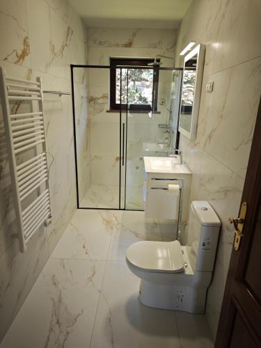 a bathroom with a toilet and a sink and a shower at Villa Danica in Ovčara