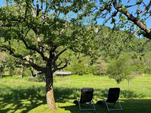two chairs sitting under a tree in a field at Jack's Apartments in Bled