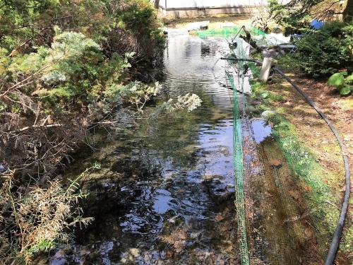 a stream of water next to a train track at Towadako Hostel in Towada
