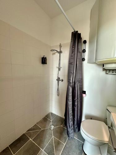 une salle de bain avec douche et toilettes dans l'établissement Le Green rooming loft - Bergerac Centre, à Bergerac