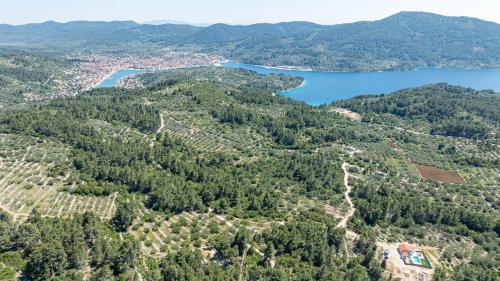 Lovely Modern Villa Antea with Private Pool near Vela Luka