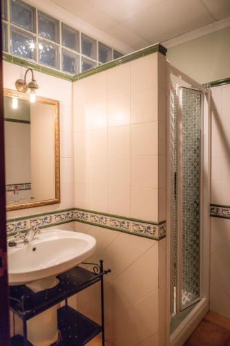 a bathroom with a sink and a shower at Finca Orate in Mairena del Alcor