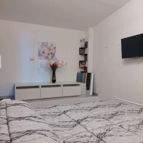 a bedroom with a large bed and a tv at Sa Mesaluna Naturhouse in Ilbono