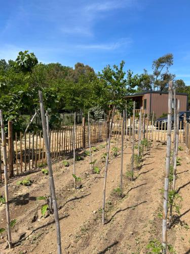a row of trees in front of a fence at Location du Ranch in Algajola