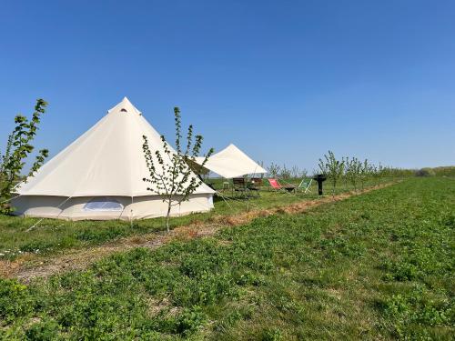 Příroda nedaleko luxury tent
