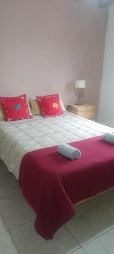 a bedroom with a large bed with red pillows at Casa doña tati in Cortaderas