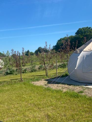 a white tent in a field with trees in the background at Orchard Retreats Glamping At Black Barn Farm Norfolk in Salhouse