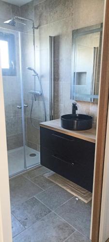 une salle de bain avec un lavabo et une douche dans l'établissement Near Canet, renovated apartment, à Perpignan
