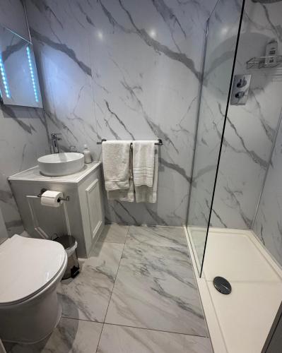 a bathroom with a shower and a toilet and a sink at The Sycamore Guest House in York