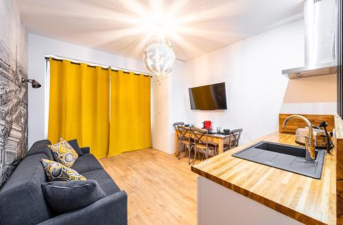 une cuisine et un salon avec un canapé et une table dans l'établissement Wonderful flat Montparnasse, à Paris