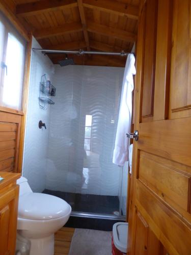 a bathroom with a shower and a toilet and a door at Nido Acacias Cabaña espectacular Colibrí in Acacías