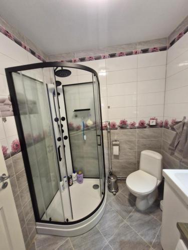 a bathroom with a shower and a toilet at HOLIDAY NEST Family Apart Guest House 26m2 - Mysigt studio för 4 pers in Höör