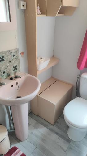 une salle de bain avec un lavabo et des toilettes dans l'établissement Le Pré Vert - Hébergement pour 6 personnes, à Campigny