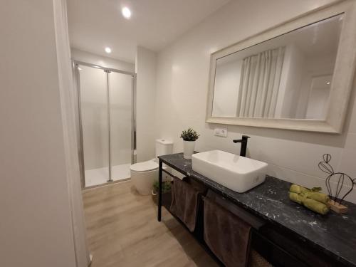 a bathroom with a white sink and a toilet at Apto Espectacular Plaza España in Ferrol