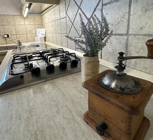 a stove top in a kitchen with a vase of flowers at Italian Experience-Dimora Palagio in Palagio