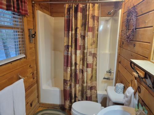 a bathroom with a toilet and a tub and a shower at Simply Charming in Pigeon Forge