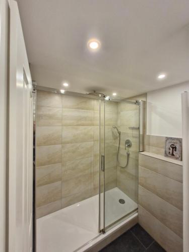 a shower with a glass door in a bathroom at Altstadtblick in Heidelberg