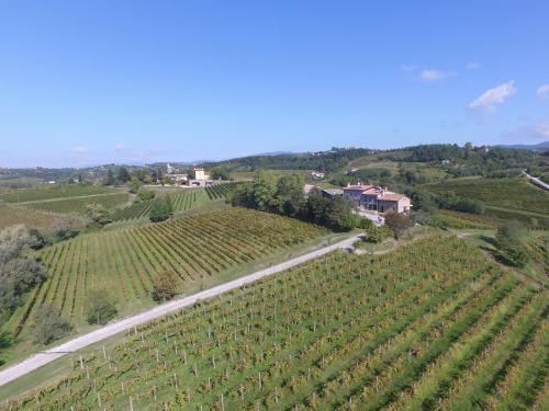 an aerial view of a vineyard with a house and a road at Zuani Casa in San Floriano del Cóllio