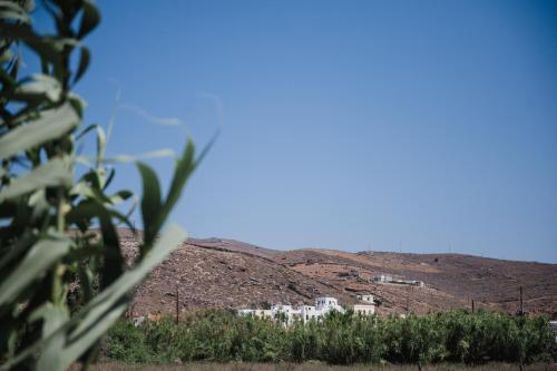 Gallery image of Aloni Houses Kythnos in Loutrá