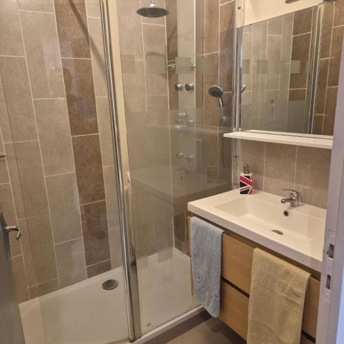 une salle de bain avec douche et lavabo dans l'établissement Le Cardinal, à Pessac