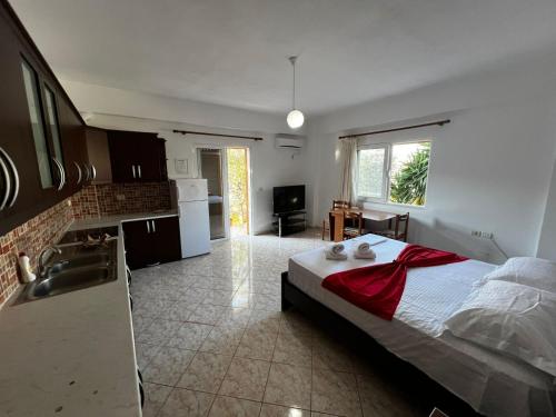 Kuchyň nebo kuchyňský kout v ubytování Villa Andres