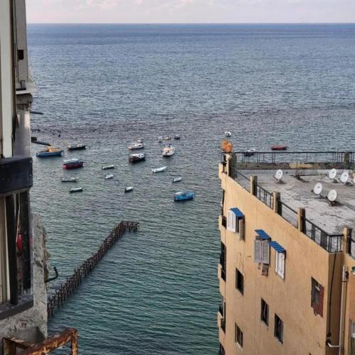 شقه غرفتين وصاله بميامى على البحر