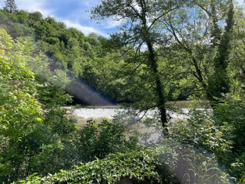 a rainbow in the middle of a river with trees at Ô Rando in La Bastide-lʼÉvêque