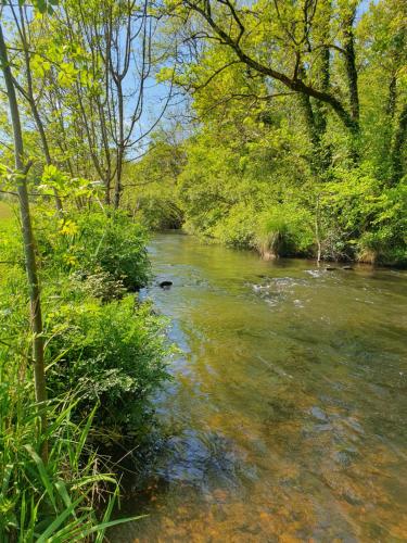 une rivière avec des arbres et des buissons dans l'établissement Moros, à Melgven