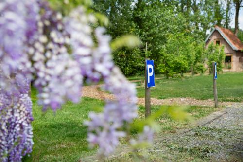 a row of parking signs in a yard with purple flowers at Au pied du frêne in Herzeele