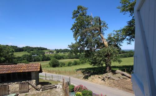 a building with a tree on the side of a road at Etchechoury in Moncayolle-Larrory-Mendibieu