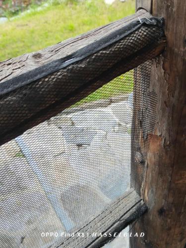 an open window with a mesh door with a view of a yard at Rustico Cascina Val Malvaglia in Malvaglia
