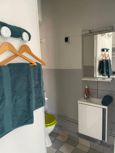 La salle de bains est pourvue d'une serviette verte et d'un miroir. dans l'établissement Stud terras Ville Corniche 2 pers stat gratuit rue Modif suivt possib et accord exclusif, à Marseille