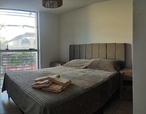 ein Schlafzimmer mit einem Bett und einem Bademantel. in der Unterkunft Anicca Alberdi Córdoba Centro in Cordoba