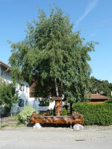 a large tree sitting in front of a house at Ferienwohnung Vogel in Wertach