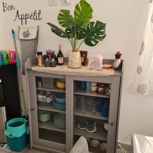 a cupboard with plates and a plant on top at Casa Madi in Bayahibe