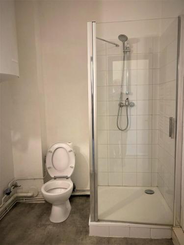une salle de bain avec toilettes et douche dans l'établissement Appartement double dans le centre, à Limoges