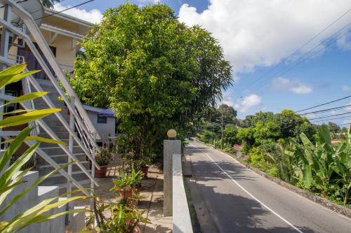 an empty street with a tree on the side of a house at Soleil Levant in Victoria