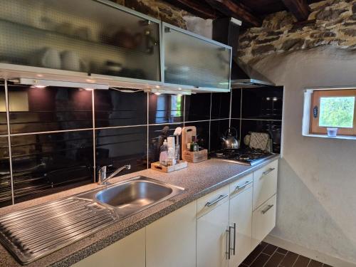 une cuisine avec un évier et un plan de travail dans l'établissement L'herbe est plus verte, à Beynat