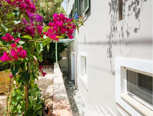 Κήπος έξω από το Bookamvillia Apartment