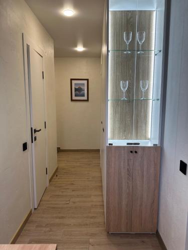 a hallway with a door with wine glasses on it at Victoria apartments center in Tiraspol