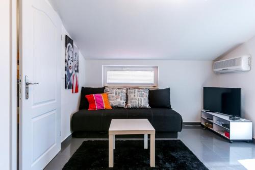 Apartment Kapovica