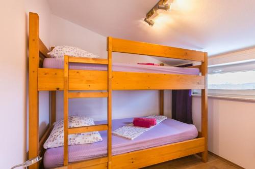 Apartment Kapovica