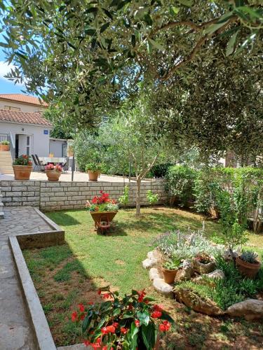 House Dorina
