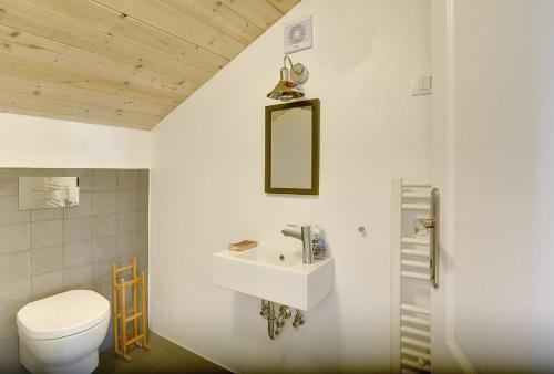 a bathroom with a sink and a toilet at Villa Krase in Svetvinčenat