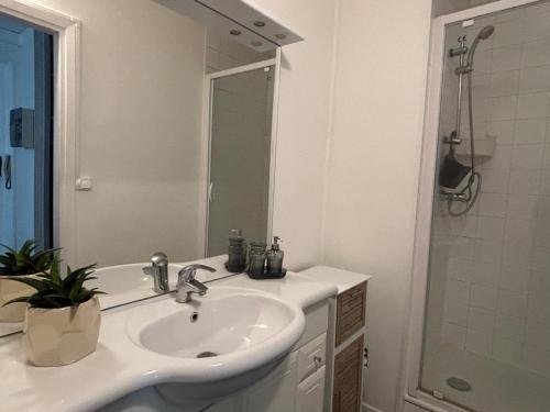 a white bathroom with a sink and a shower at App centre-ville près du château, grand appartement in Caen