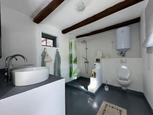 a white bathroom with a sink and a toilet at Logie By Dedes in Birchiş